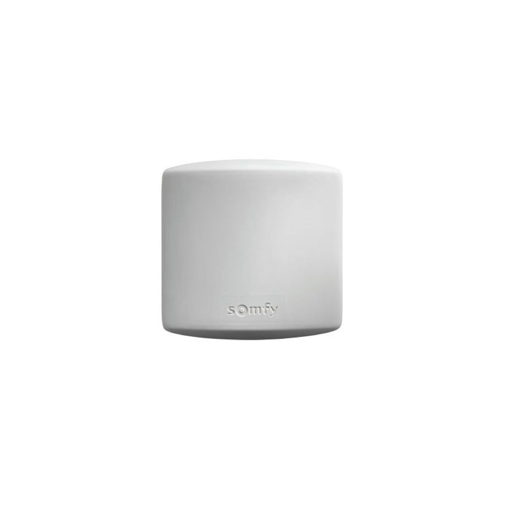 Somfy Standard Receiver RTS